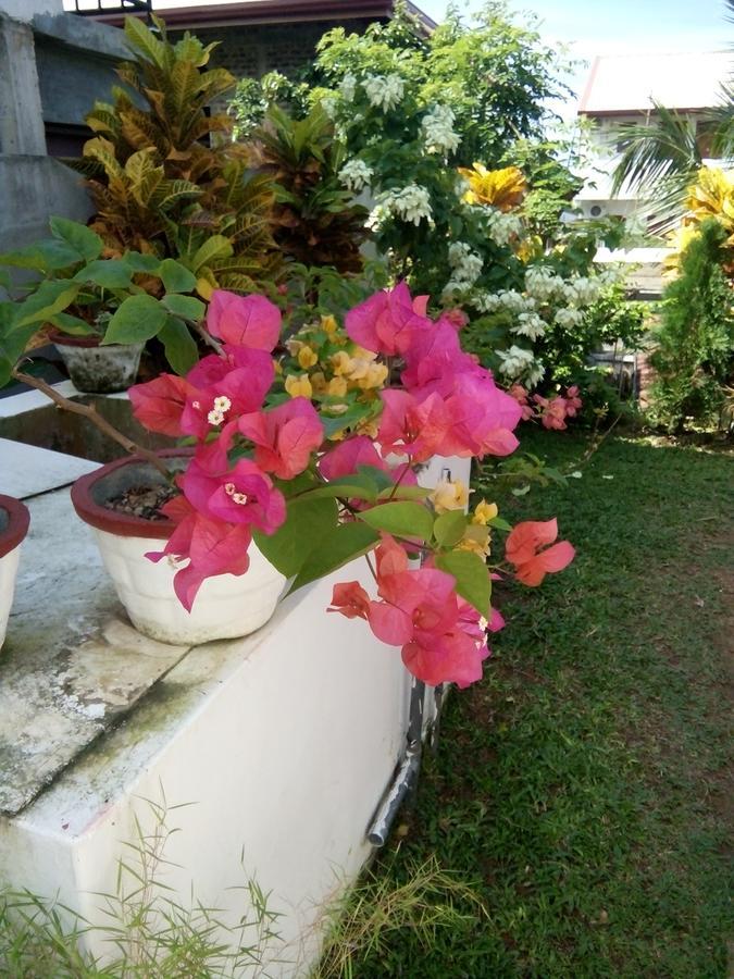 Bed and Breakfast Bentota Orchid House Exterior foto