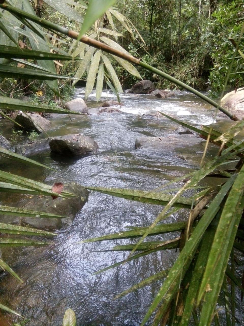 Bed and Breakfast Bentota Orchid House Exterior foto